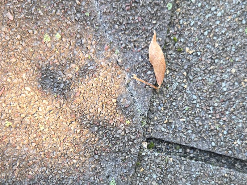 Extreme close-up of a shingle surface showing a soft, dark spot where granules have been crushed away and the black asphalt beneath is exposed.