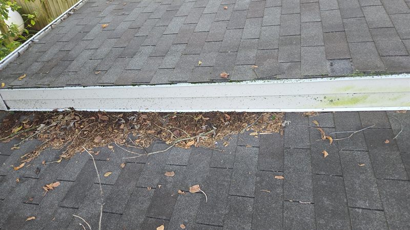 A gutter along a shingle roof eave packed with dead leaves and twigs, with algae staining along the gutter's outer face.