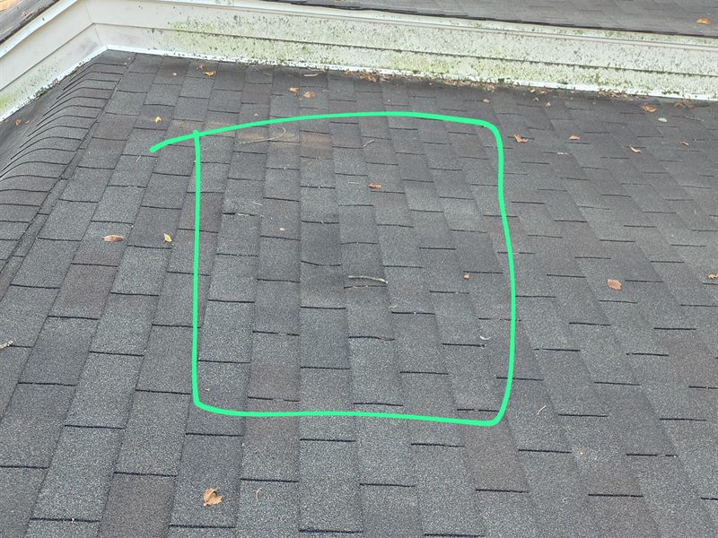A shingle slope with a green inspector's outline drawn around a test square where hail has knocked granules loose.